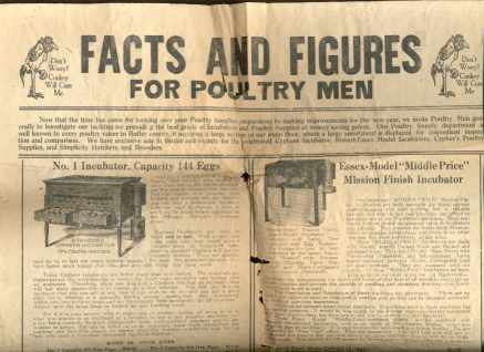 Facts & Figures...Poultry ad flyer circa 1910