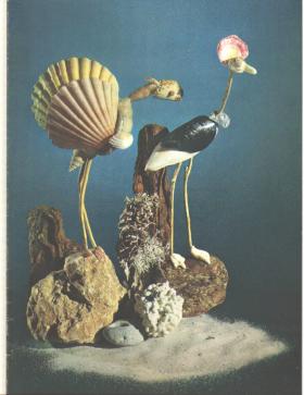 SS Statendam 1963 menu Shell Art Sea Ducer