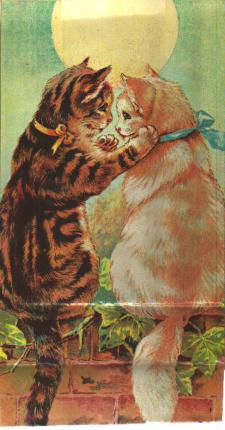 Beautiful Cat GiftBag 1981 w Courting Cats M