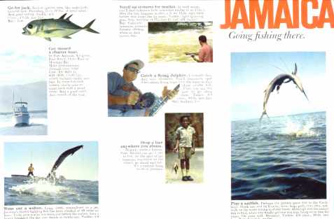Jamaica Going fishing There great photos
