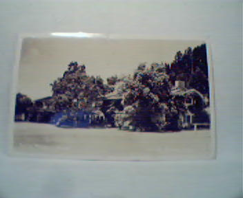 Photo Card of Will Rogers Home in Santa Moni