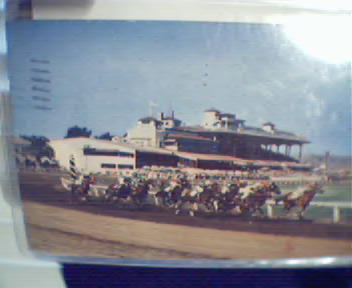 Horseracing at Caliente Race Track Mexico!
