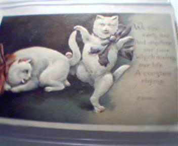 Two Cats on Card with CLivelle Poem!