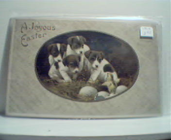 Easter Card with Puppies on It! Color! 1910!