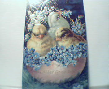 Color Card with Peeps& Flowers,Pink Egg Half