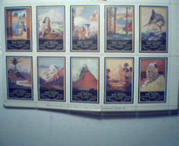 Poster Stamps of Scenes from New Zealand!