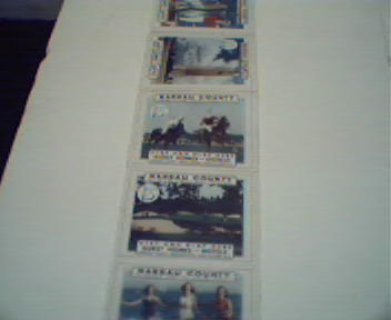 New York Fair Emblemed Nassau County Stamps!