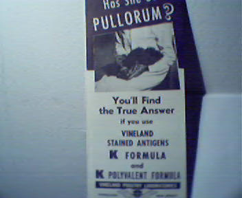 Has She Got Pullorum? Find the Answer!
