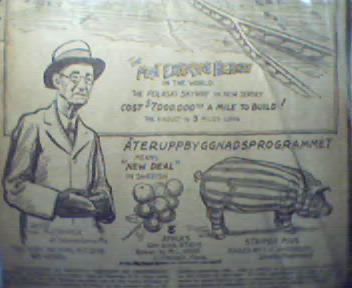 Ripley's Beleive it Or Not-Striped Pigs!