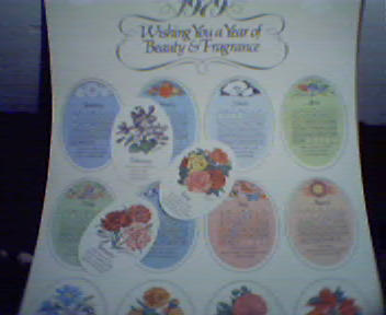 1979 Avon Calendar with Flower Cards!