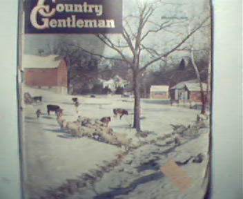 Country Gentleman-2/48-What's DestroyingCrop