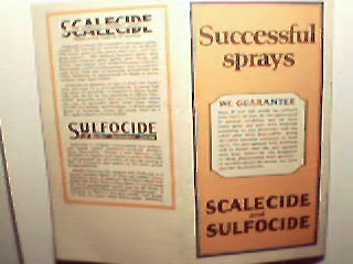 BG Pratt Scalecide Pesticide for Orchards! c1926!