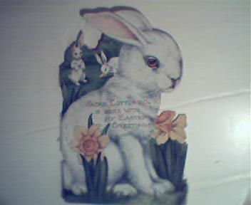 Jackie Cottontail is Here with Easter Greetings!