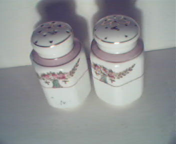 Pink Flowers on Floral  Decorated Porcelain Shakers!