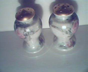 Floral  Decorated Porcelain Shakers with Gold Top!