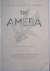 Among The Minute Animals The AMEBA by Stanley T. Brooks