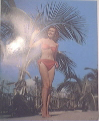 Vintage color print So Long Beautiful Pin-Up