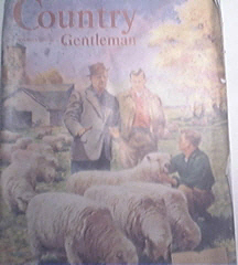 Country Gentleman 11/1953 Hog Raising Paln Hard To Beat