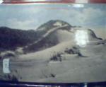 Sand Dunes at Cape Cod Mass. Color Card!