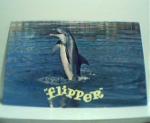 Flipper Star of MGM TV Program in Photo!