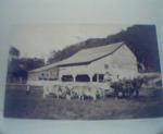 Cows,Barn and Wagon Pulled by Horses!PhotoR