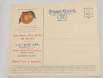 Lake Ave. Fruit Farms/J.H.Teats advertisement/Post Card