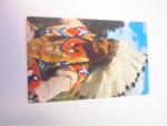 1958 Indian Chief Kodachrome Color Card