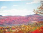 1960 Rattlesnake Knob Quaker Mountain,N.Y.