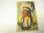 1940's A Jicarilla Apache,Buffalo,Calf