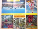 1950's Florida's Cypress Garden Brochure