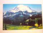 1950's 405-Mt.Rainier,Washington