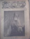 Rural New Yorker 1/20/1951 Popular Palomino Cover