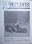 Pictures The Snapshot Magazine, 10/1943, Kitten cover