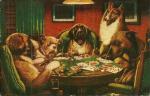 POSTCARD OF A DOG POKER GAME 1954