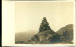 PHOTO POSTCARD BY THE SHOREY STUDIO,GORHAM,NH 1910