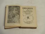 Freckles- 1916 Gene Stratton Porter- Children's Book