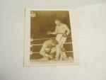 Boxing KO Photo- 8 x10 B/W- Boxing Countout