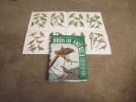 Birds of America- The Audubon Societies Reprint 1936