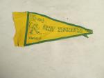 Boy Scout Pennants- Camporee 56 er's Unit Standard