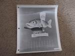 Falstaff Beer Promotional File Folder 50s' Fish & Beer