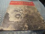 Horticulture Illustrated 9/1947 A New Cactus Type