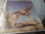Shel-Bee News 3/1945 (Cover only) Red Cross Dog