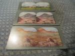 Stereoscope Cards- Petrified Tree Stumps- Lot of 3